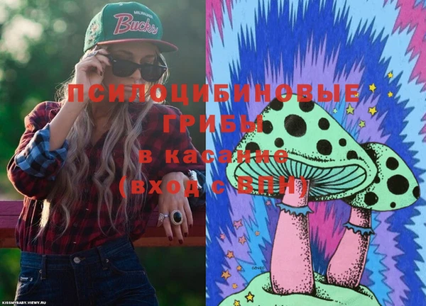 ешки Кукмор