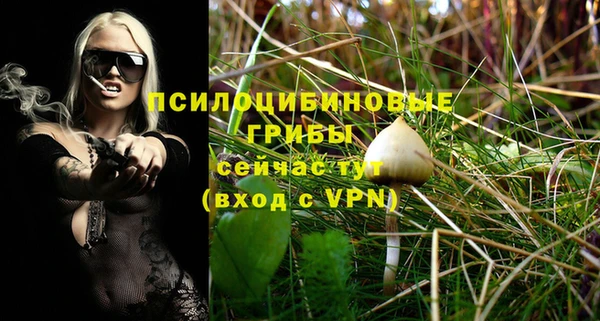 спайс Коряжма
