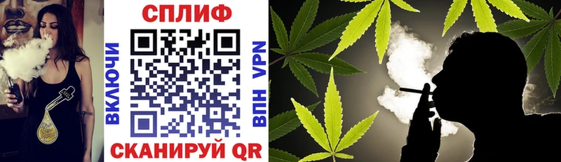 наркота  Сураж  Конопля OG Kush 